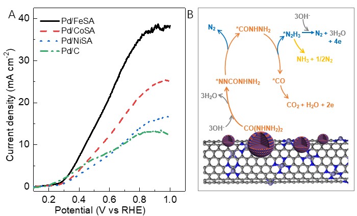 The Cooperative Effect of Iron Single Atoms on Palladium Catalyst for ...