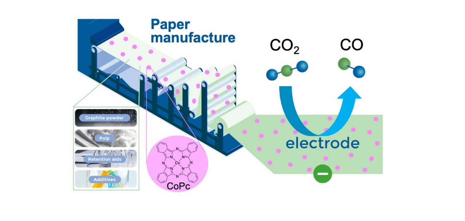 Electrocatalytic Functionalized Specialty Paper As Low-Cost Porous ...