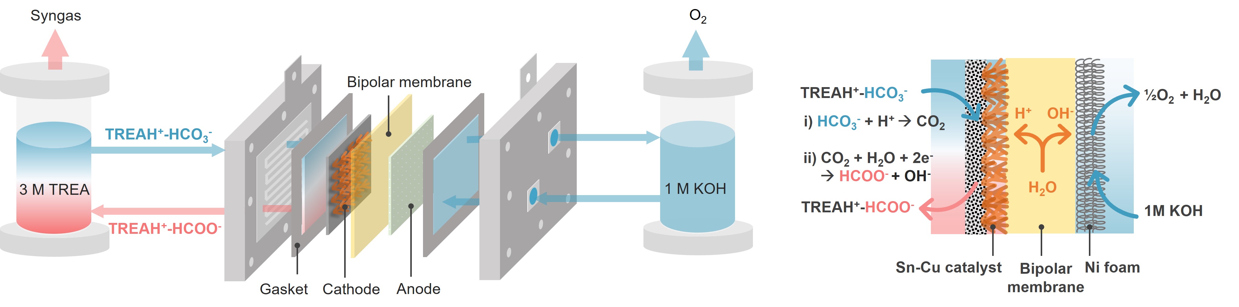 Direct Electrochemical Conversion of Amine-Captured CO2 into High ...