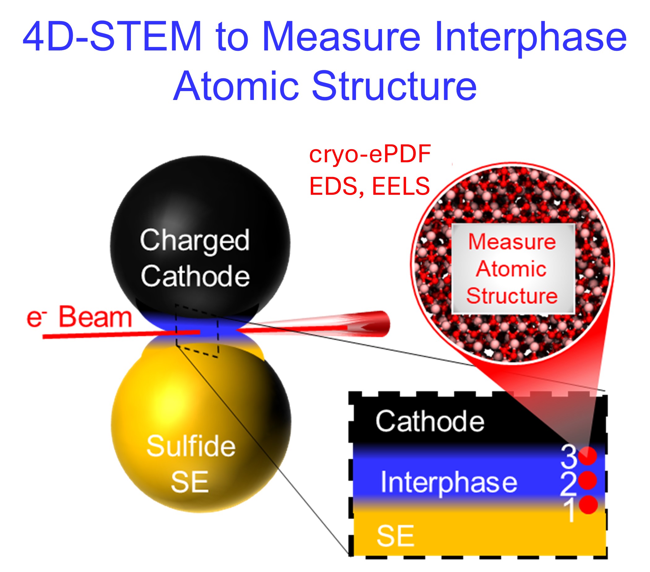 4D-STEM of LGPS and NMC Interfaces Reveal Interphase Formation ...