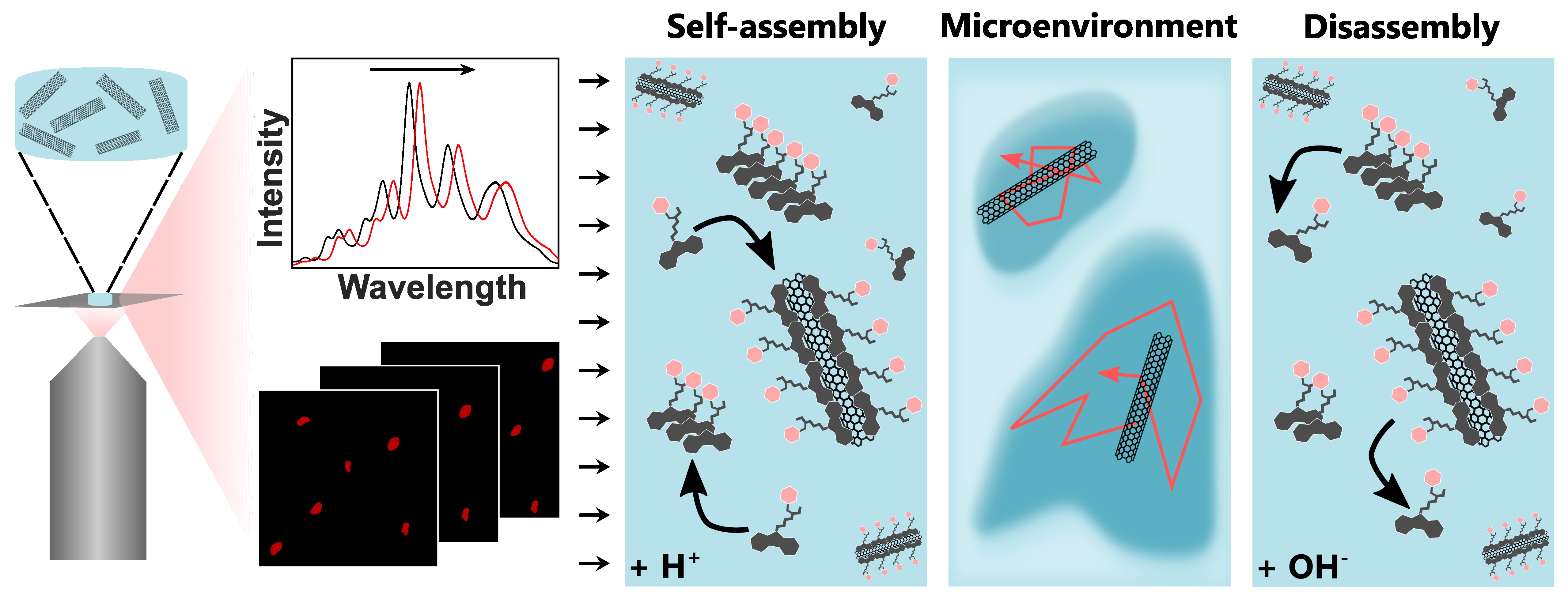 Single-Walled Carbon Nanotubes As Near-Infrared Fluorescent Probes for ...