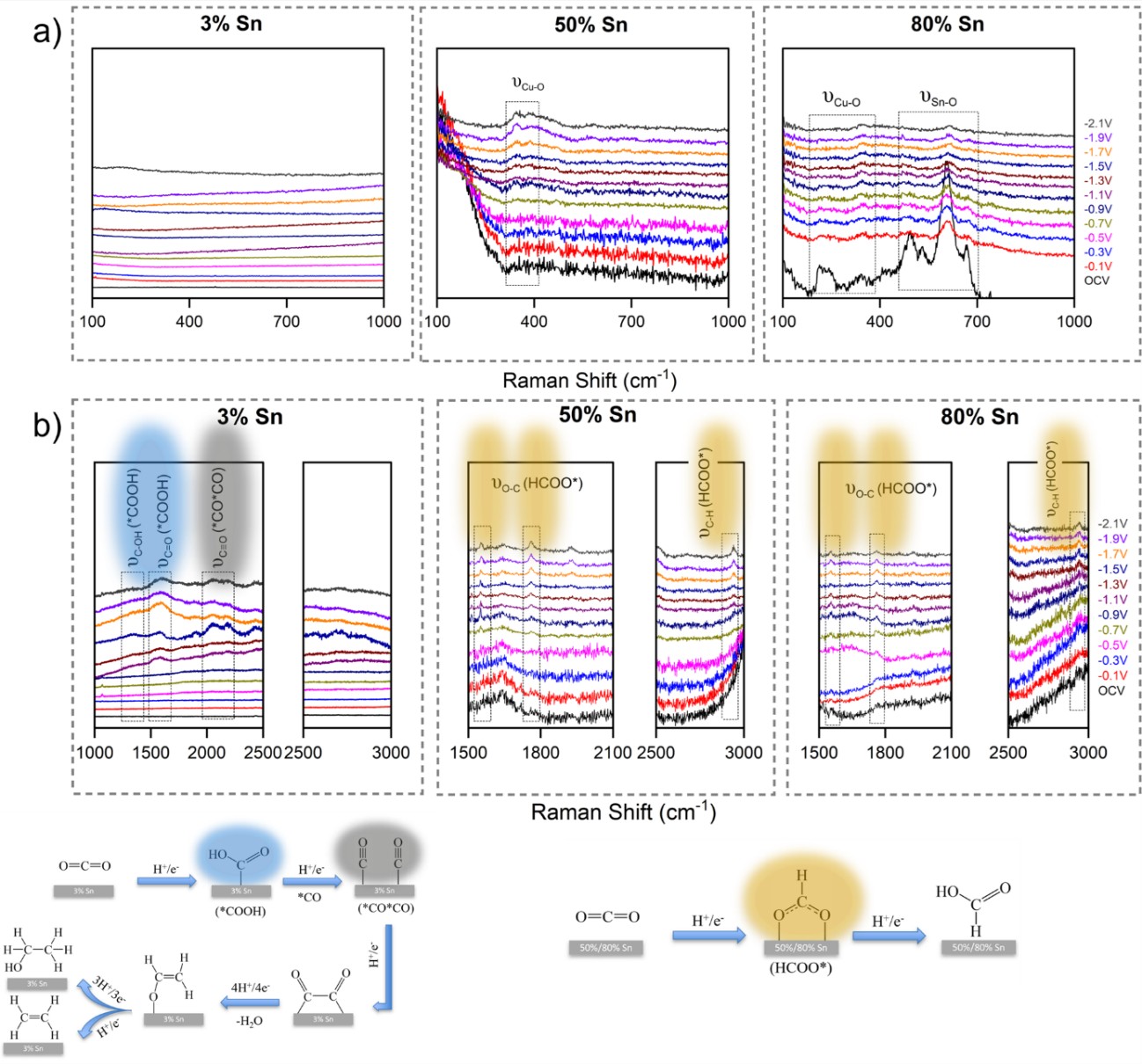 Operando Surface Enhanced Raman Spectroscopy Reveals Enhanced C-C ...