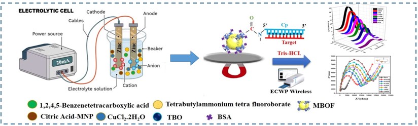 A Novel Eco-Friendly Electrochemical Fabrication of Magnetic Bimetallic ...