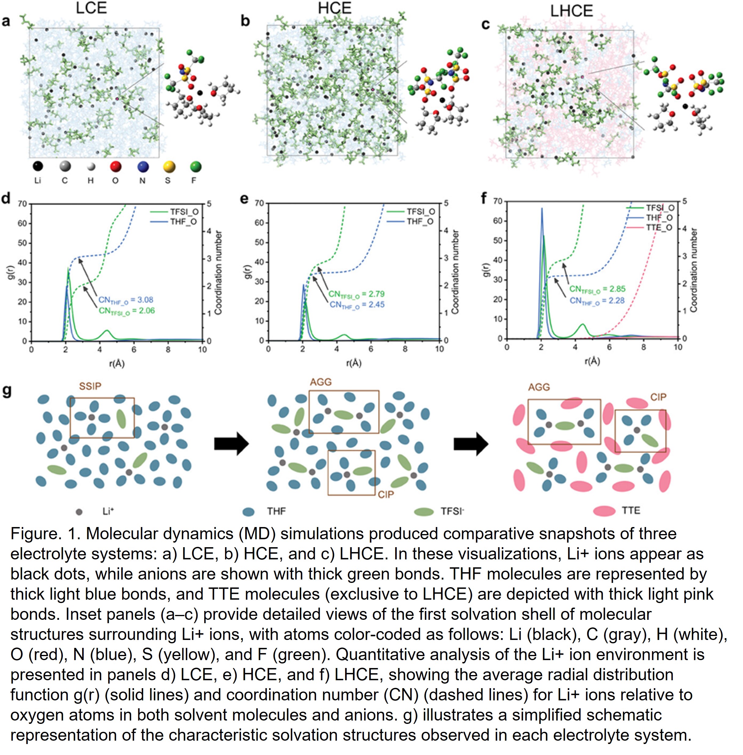 Molecular Dynamics Investigation of Solvation Structures in Localized ...
