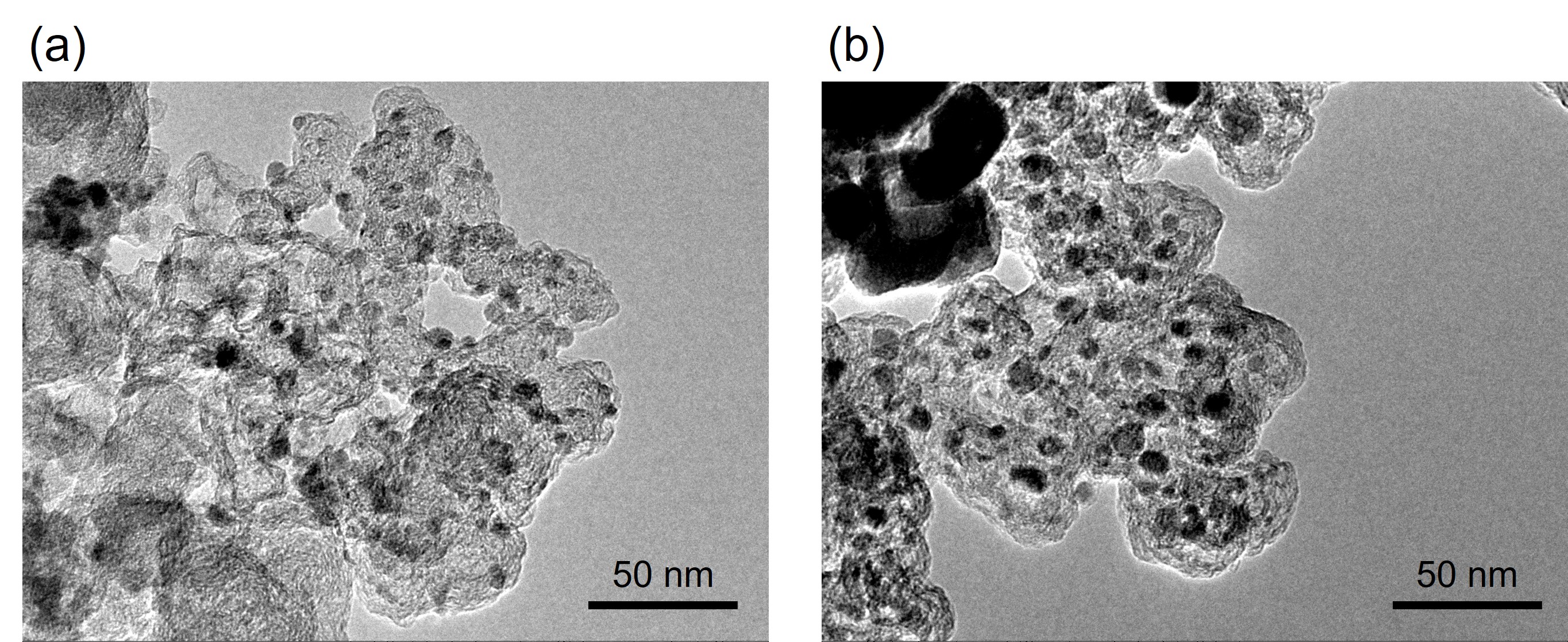 The Effect of Particle Size on the Oxygen Reduction Reaction Activity ...