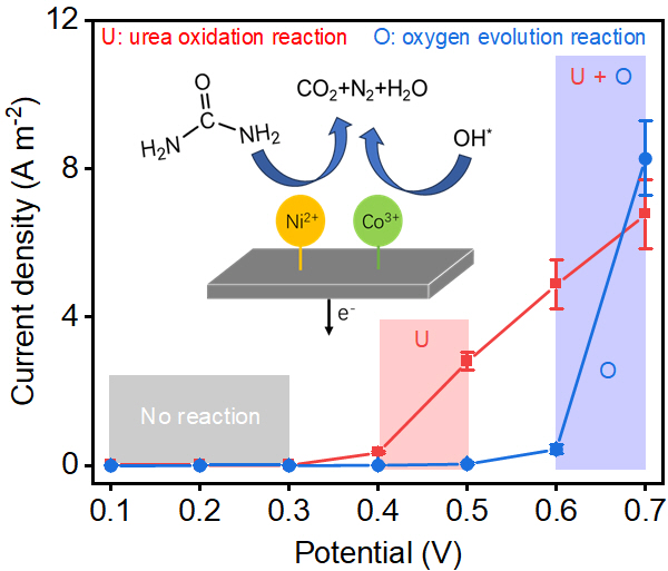 Enhanced Urea Electrooxidation Reaction by Synergistic Nickel and ...