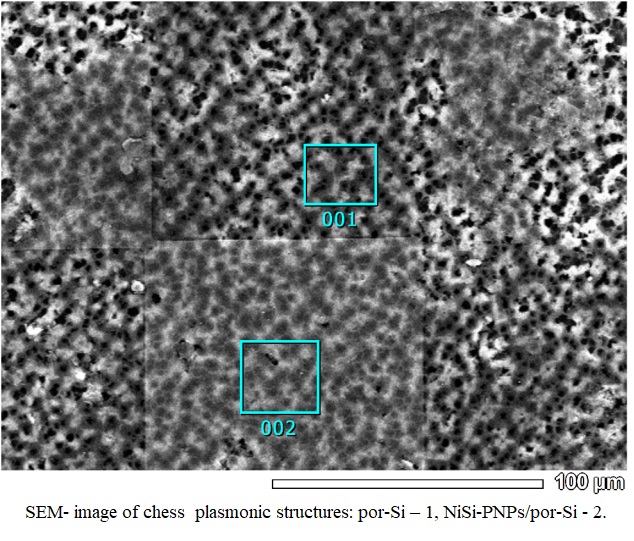 Features of the Homogeneous Plasmonic Structures on Porous Silicon ...