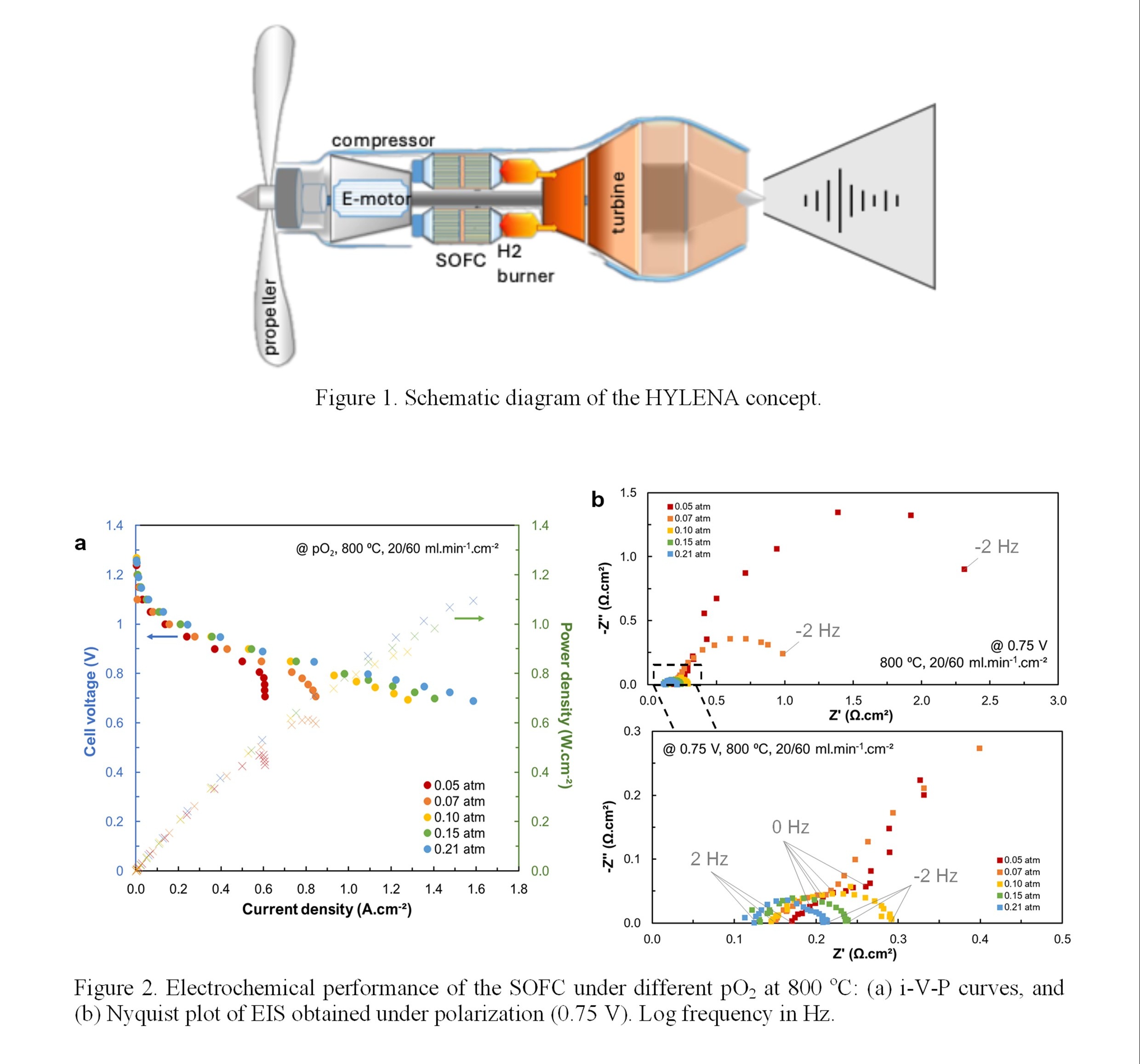 Performance and Degradation Study of Anode-Supported SOFCs for Hydrogen ...