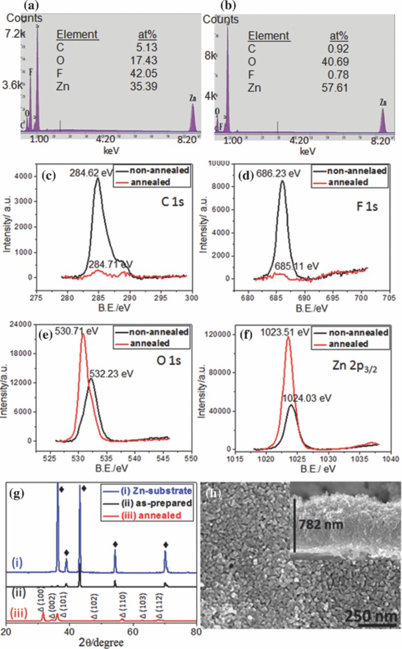 Znf Unit Electrochemically Assisted Self-Assembling of ZnF2-ZnO Nanospheres ...