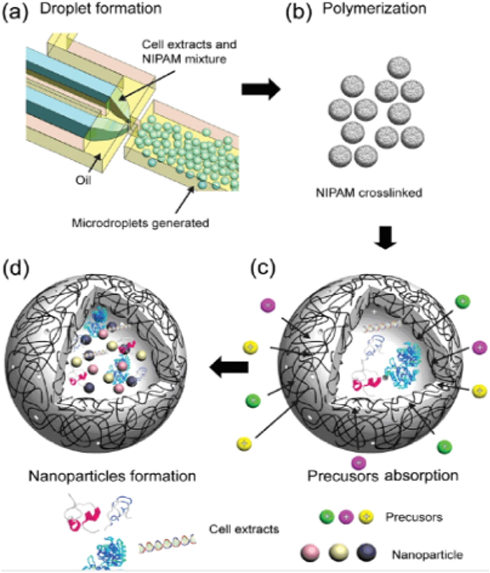 Review—Miniaturized and Microfluidic Devices for Automated Nanoparticle ...