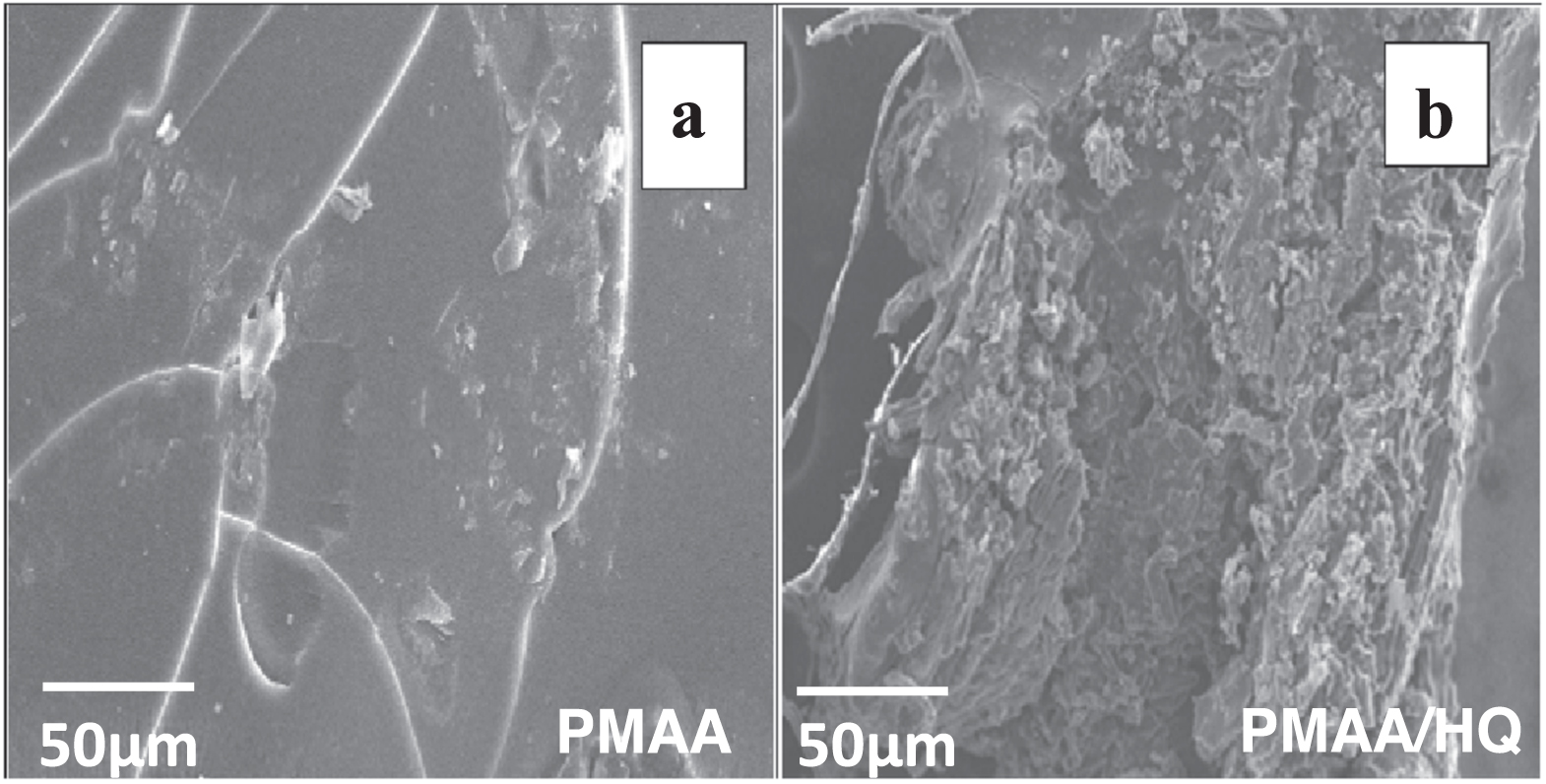 Pmaa Corrosion Inhibition Efficiencies of Polymethacrylic Acid and ...