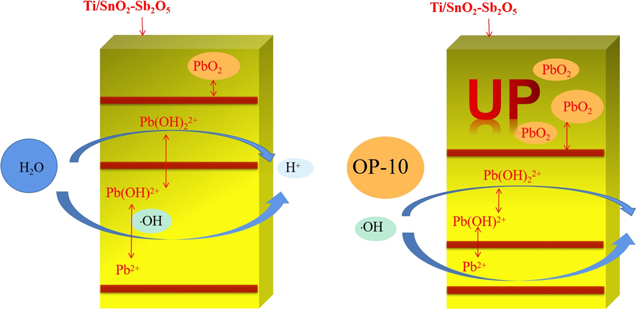 Electrodeposition and Catalytic Performance of Hydrophobic PbO2