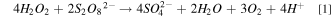 Equation (1)
