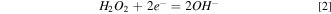 Equation (2)