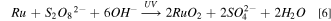 Equation (6)