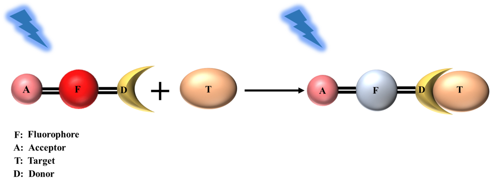 Review—Design and Synthesis of Fluorescence Sensing Metal-Organic ...