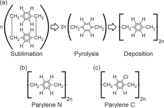 Figure 1. Refer to the following caption and surrounding text.