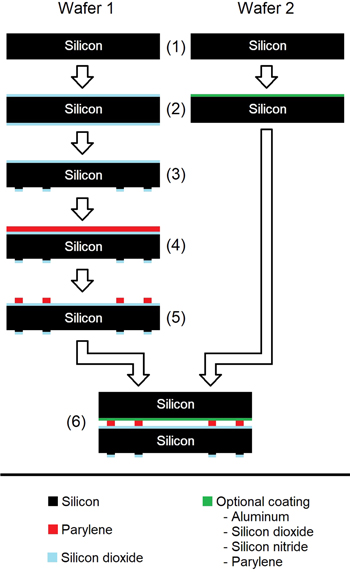 Figure 2. Refer to the following caption and surrounding text.
