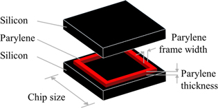 Figure 3. Refer to the following caption and surrounding text.