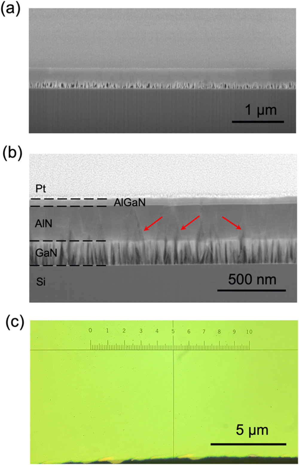 High Internal Quantum Efficiency AlGaN Epilayer Grown by Molecular Beam ...