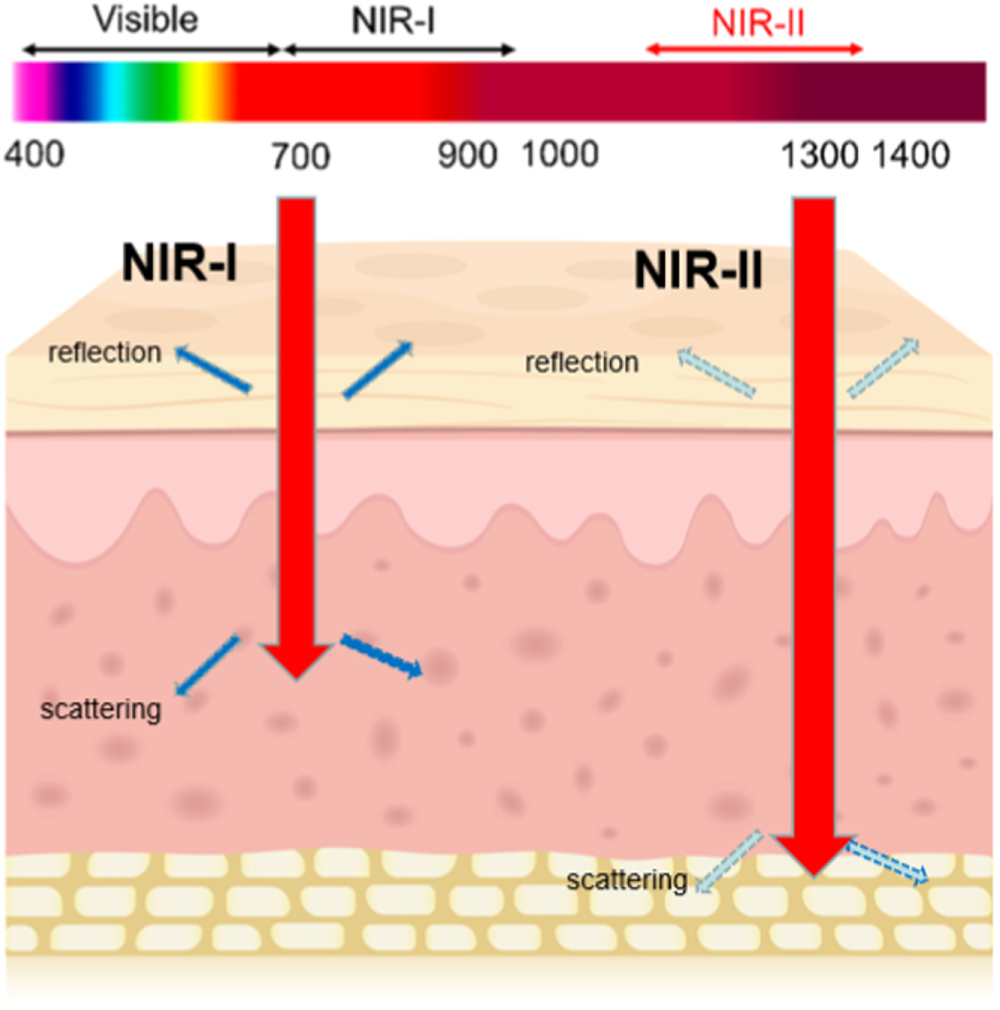 Review—Advances in the Application of Microenvironment-Responsive NIR ...