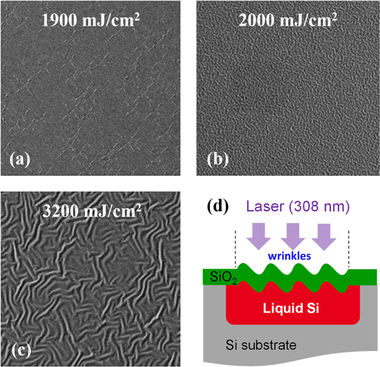 Non-Equilibrium Growth of Surface Wrinkles Emerging in an SiO2/Si Stack ...