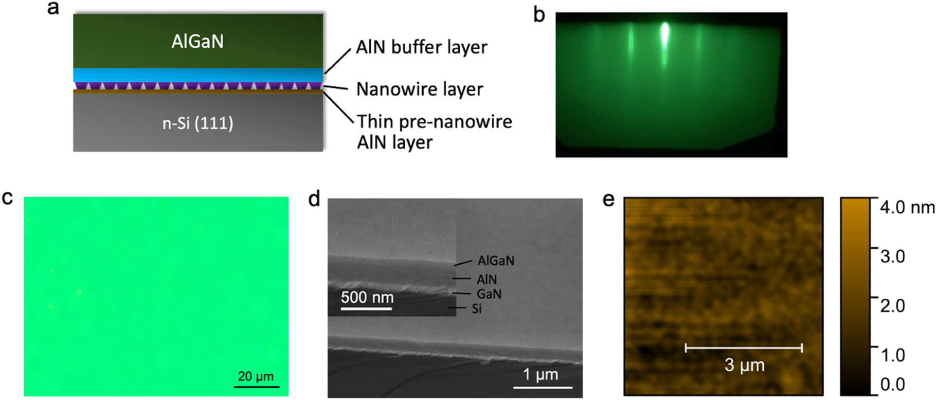 Molecular Beam Epitaxy of AlGaN Epilayers on Si for Vertical Deep ...