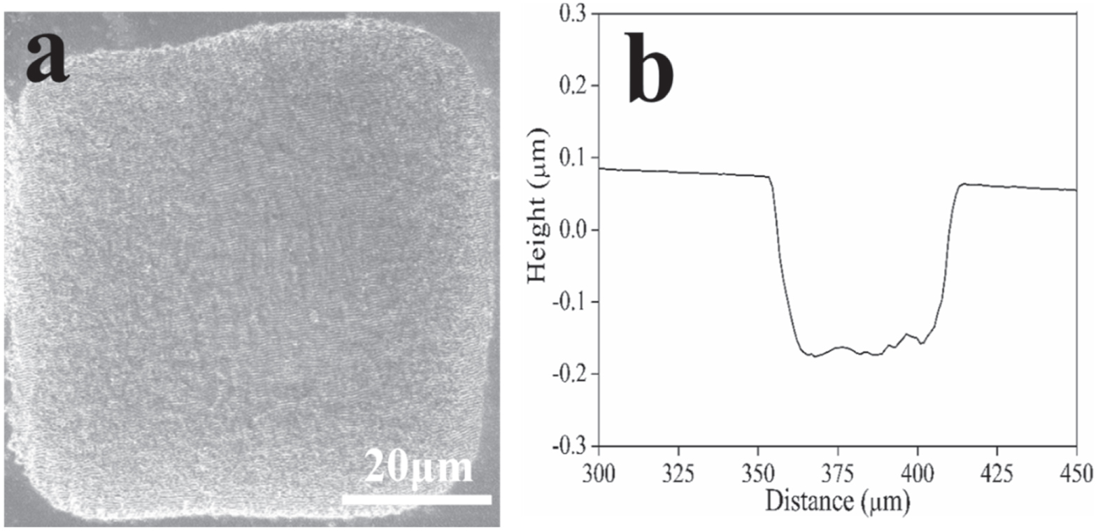 A Novel Strategy Achieving GaN Ultra-Smooth Surface via a