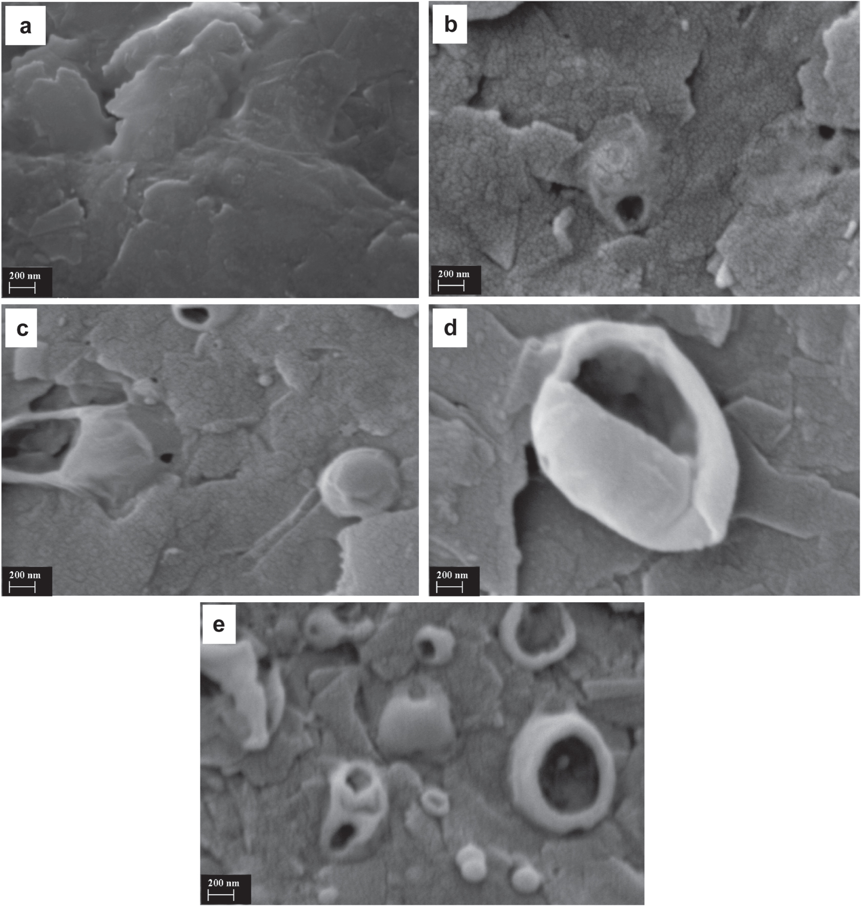 Preparation of Spinel Form Co3O4 and CoO2 Thin Film at Low Temperature ...