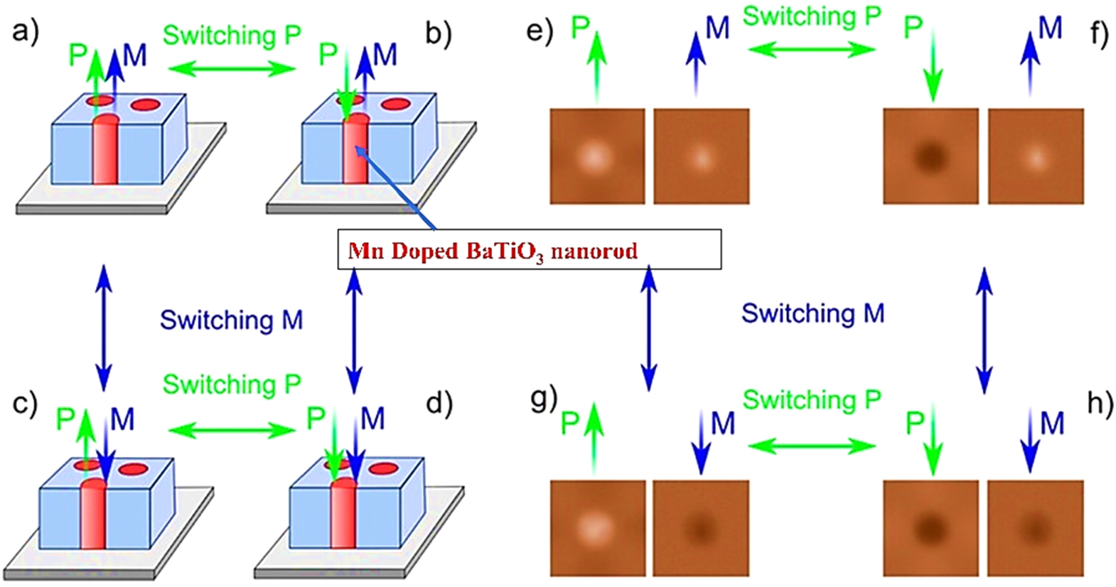 Tailoring the Properties of Bulk BaTiO3 Based Perovskites by Heteroatom ...