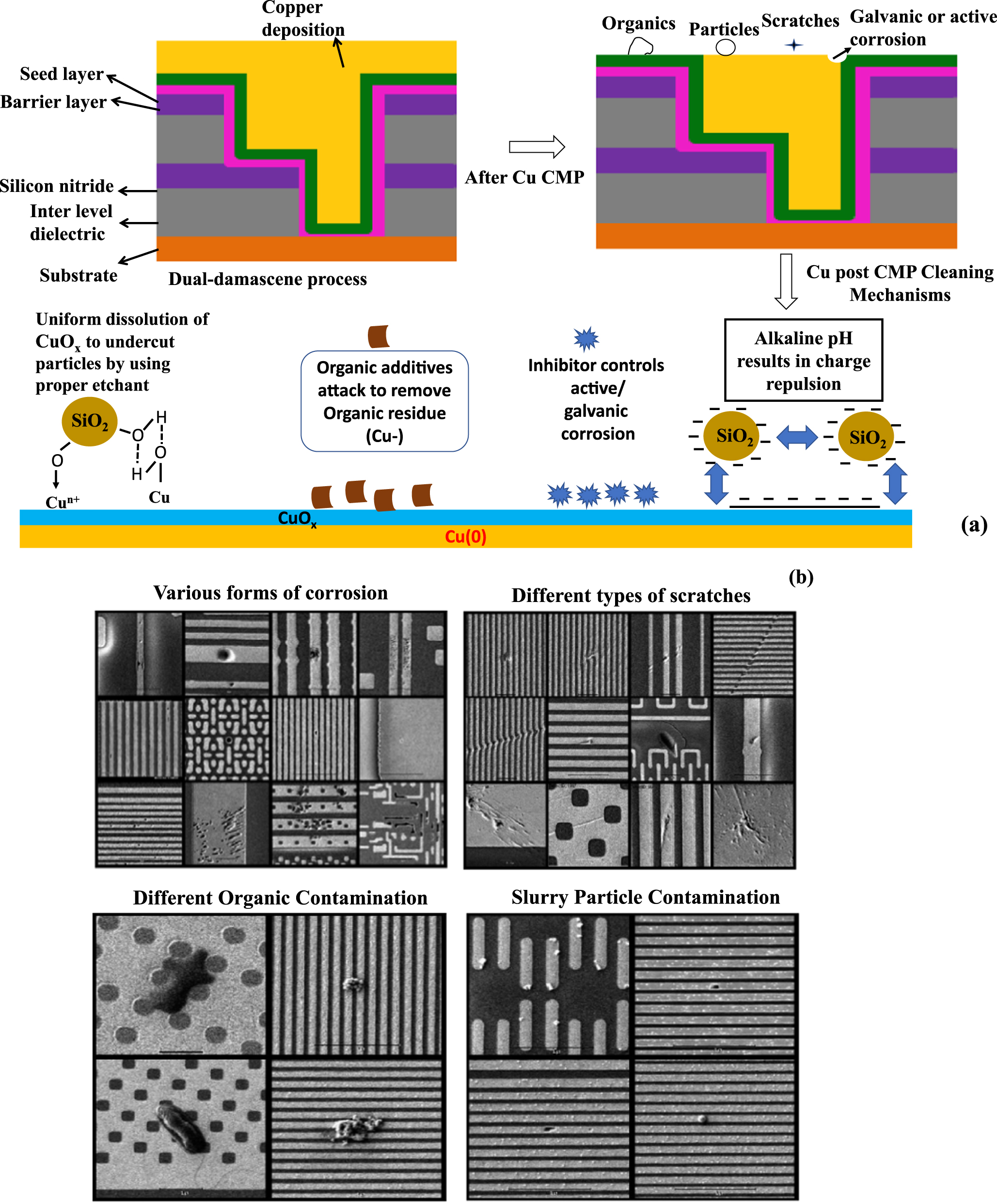 Cmp Defect Library Review—Post-Chemical Mechanical Planarization Cleaning Technology ...