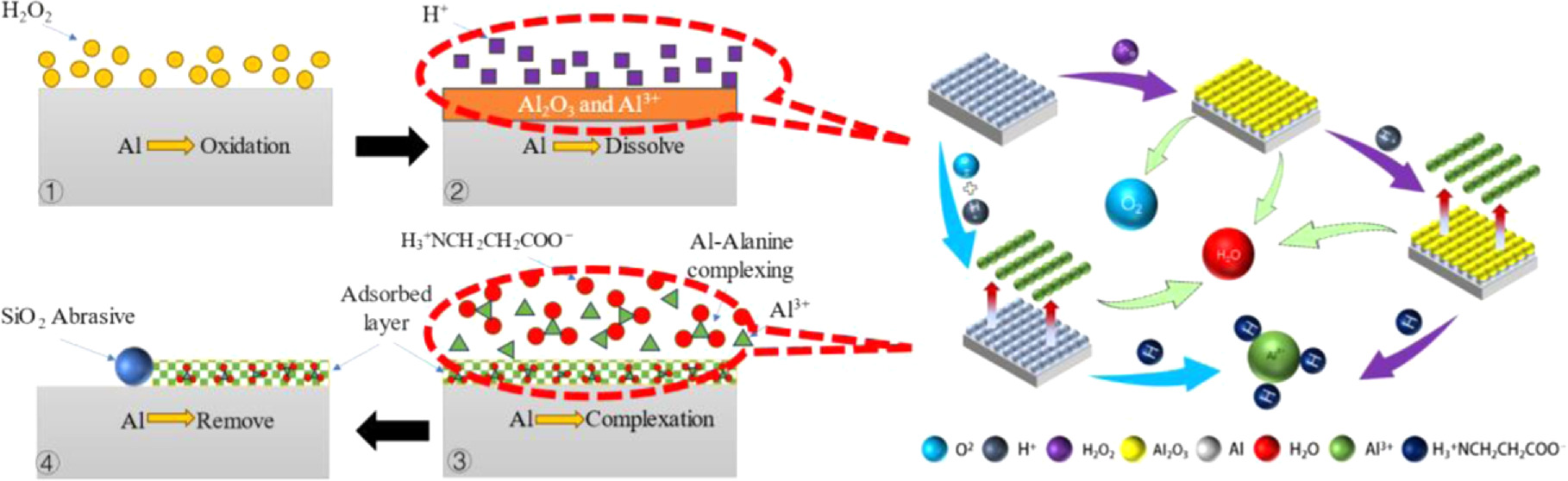 The Role of Alanine in the Chemical Mechanical Polishing of Aluminum ...