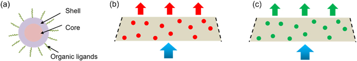 Application of InP Quantum Dot film by Photolithography Technology on a ...