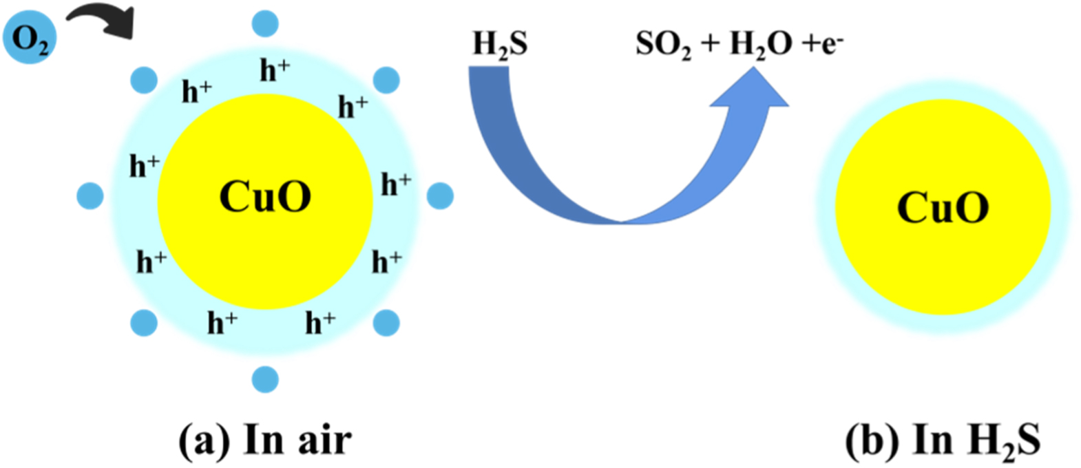 Enhanced H2S Gas Sensing Properties of the Hierarchical CuO Hollow ...