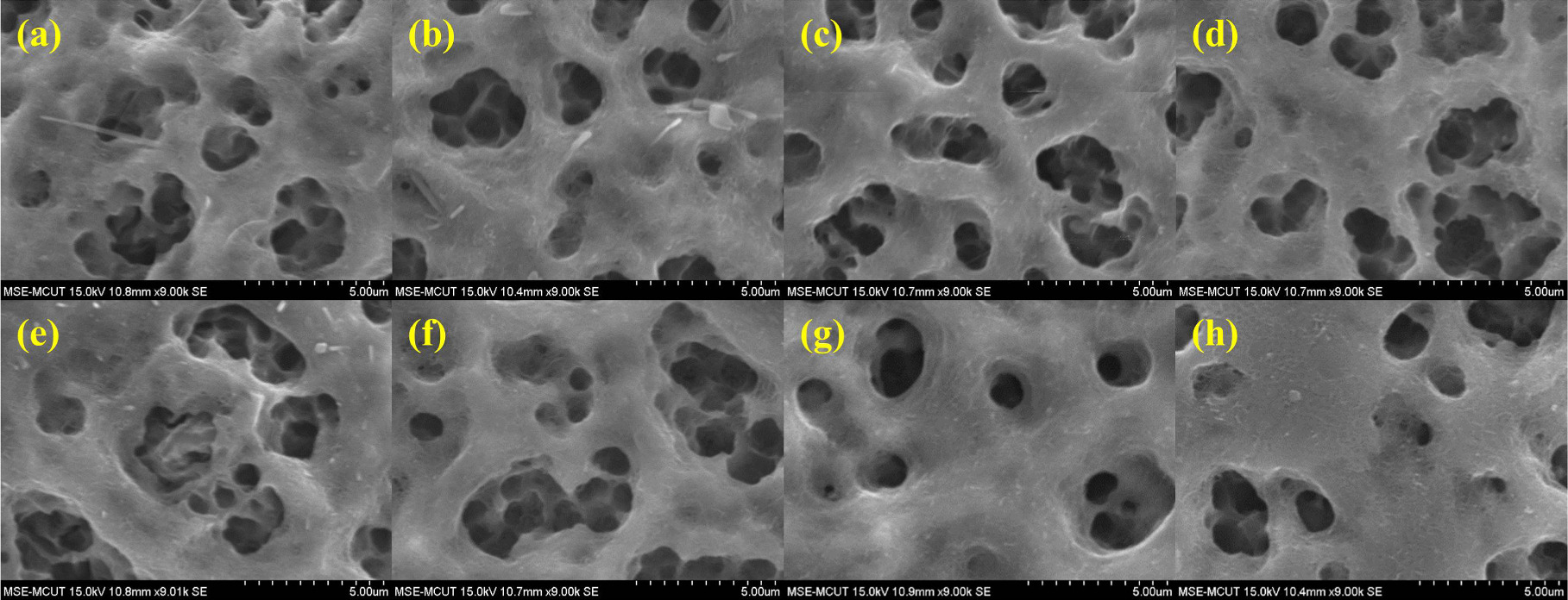 Fully Inkjet-Printed Gas-Sensing Antenna Based on Carbon Nanotubes for ...