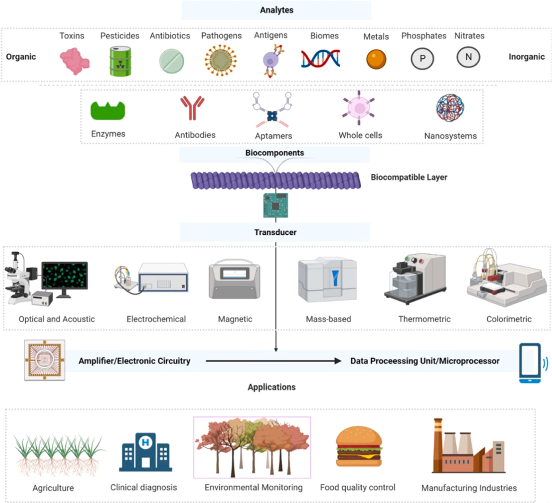 Perspective—Prospect of Nano-Enabled Optical Biosensors for Antibiotic ...