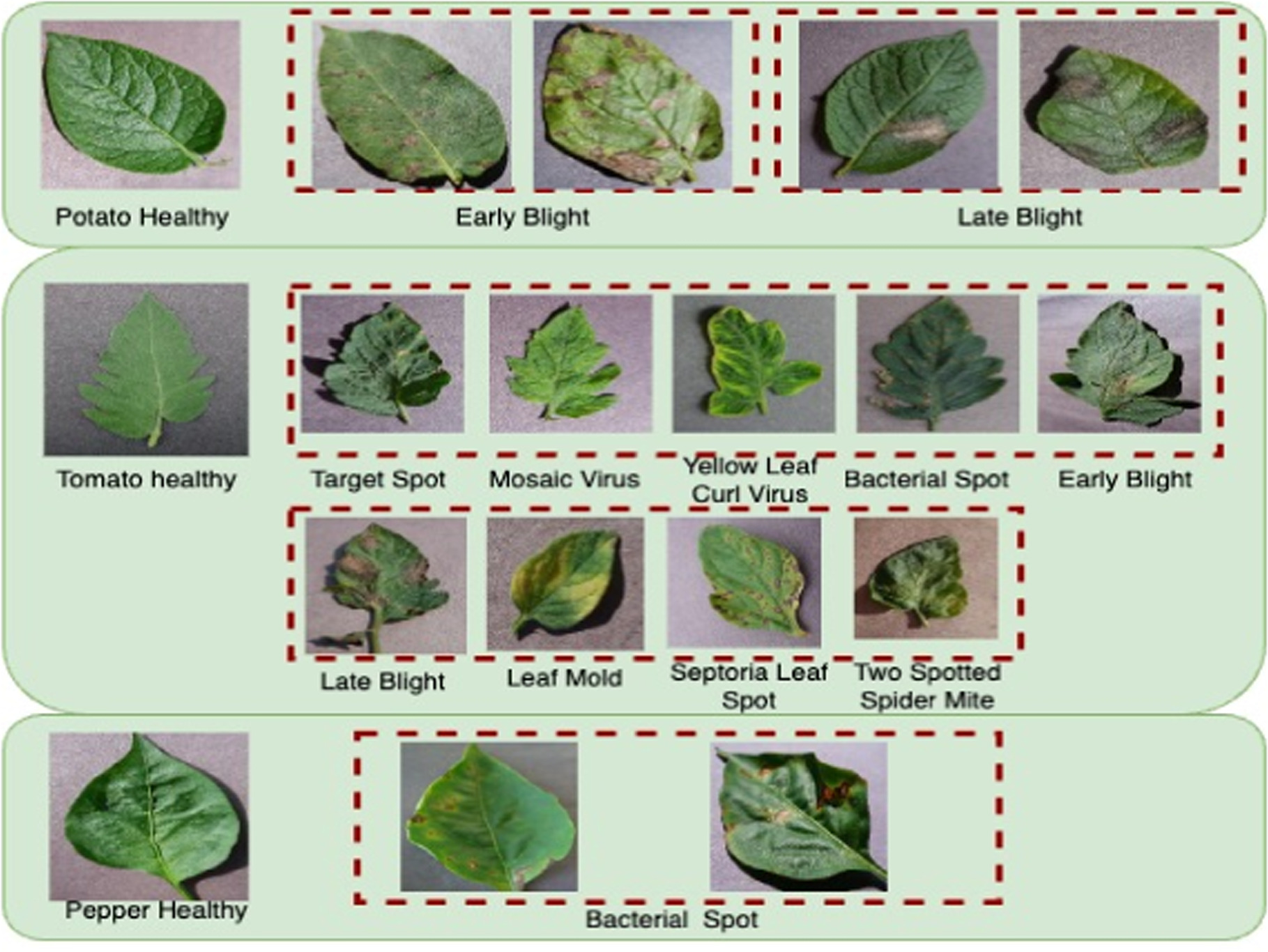 Investigating a Spectrum of Machine Learning Methods for Leaf Disease ...