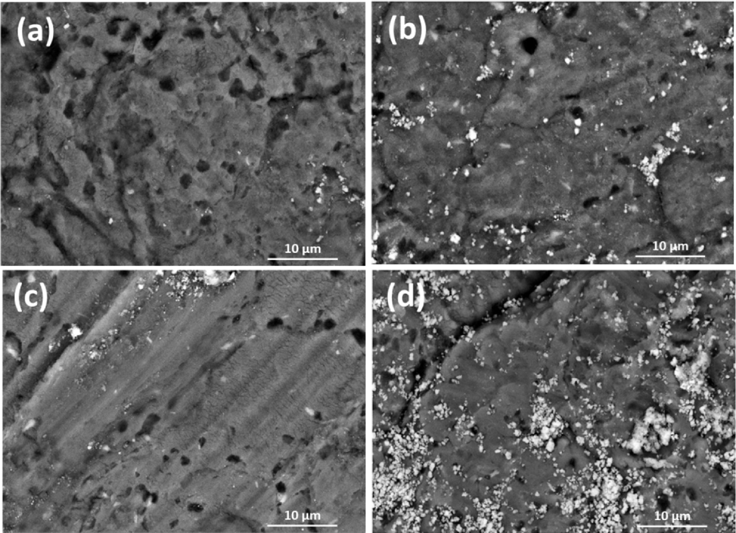 Graphana Matrix Fabrication and Characterization of Functionally Graded Nanocomposites ...
