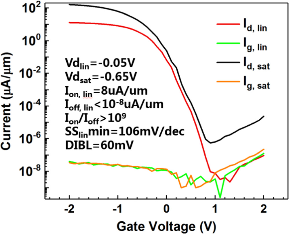 A Common Source 3D FeFET with Disturb Inhibition Program and Erase ...