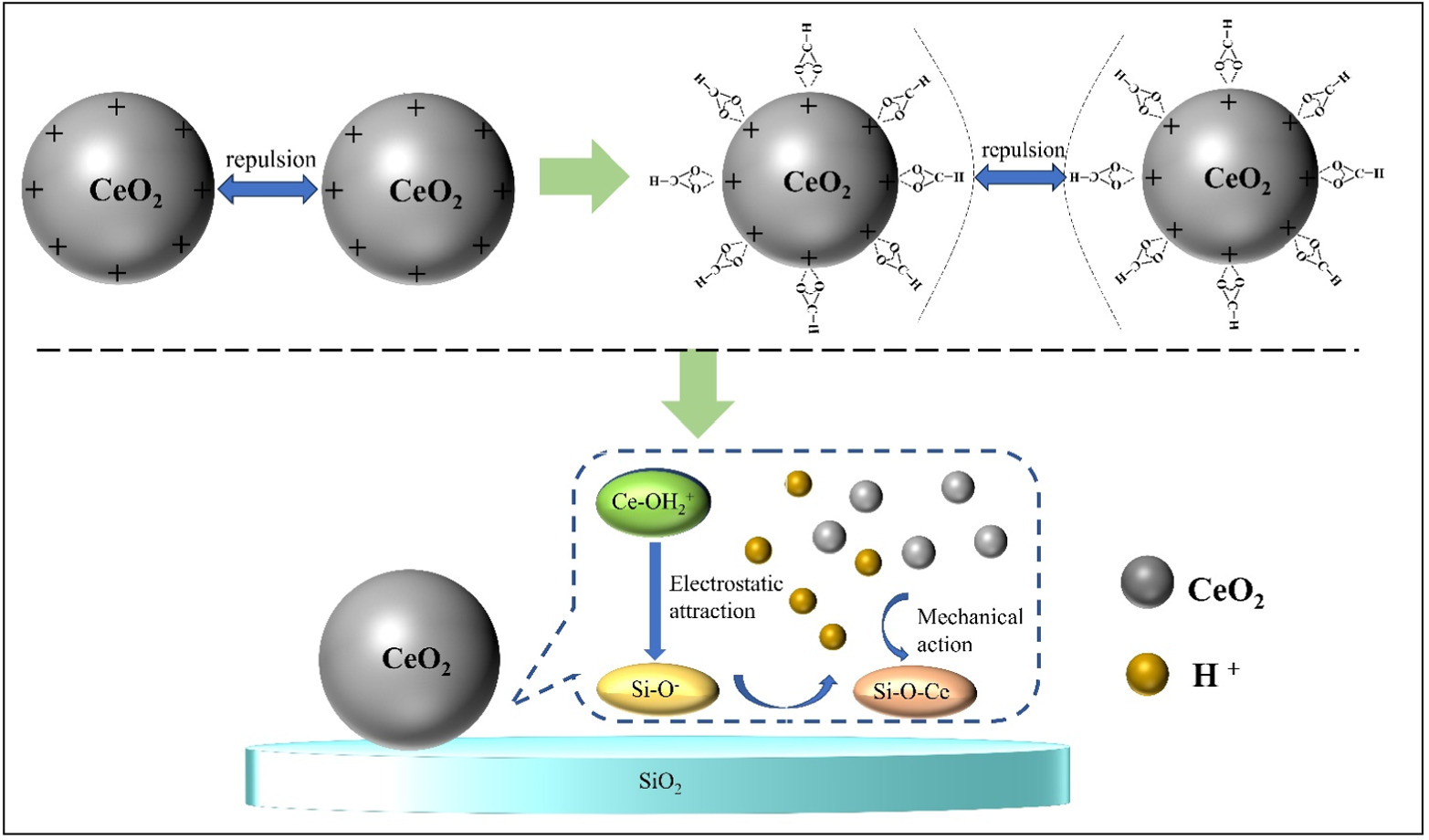Promotive Effect of Organic Acids on the Dispersion of Ceria