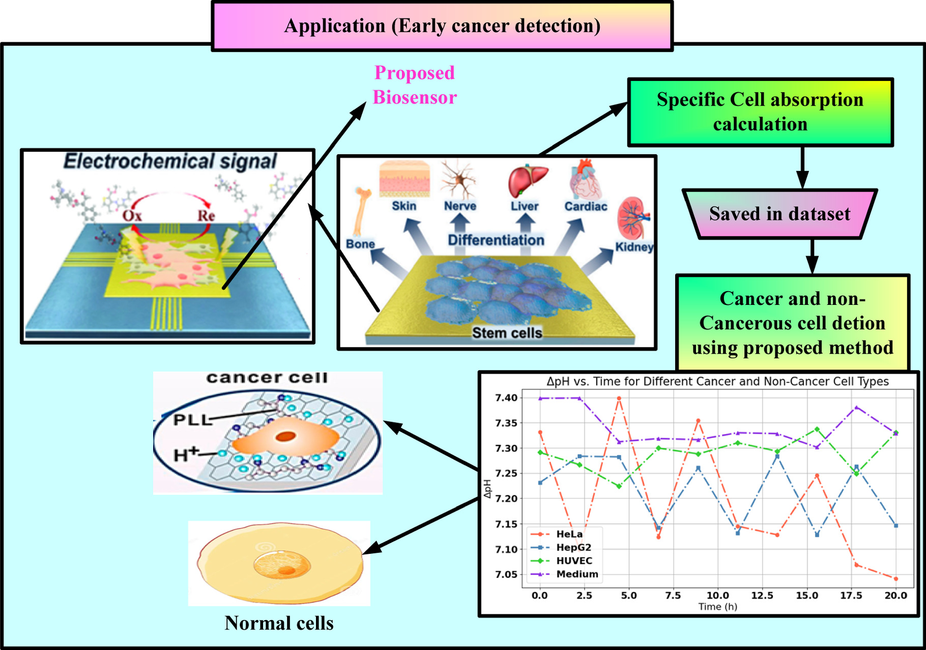 Design and Analysis of a Highly Sensitive Terahertz Biosensor for Early ...