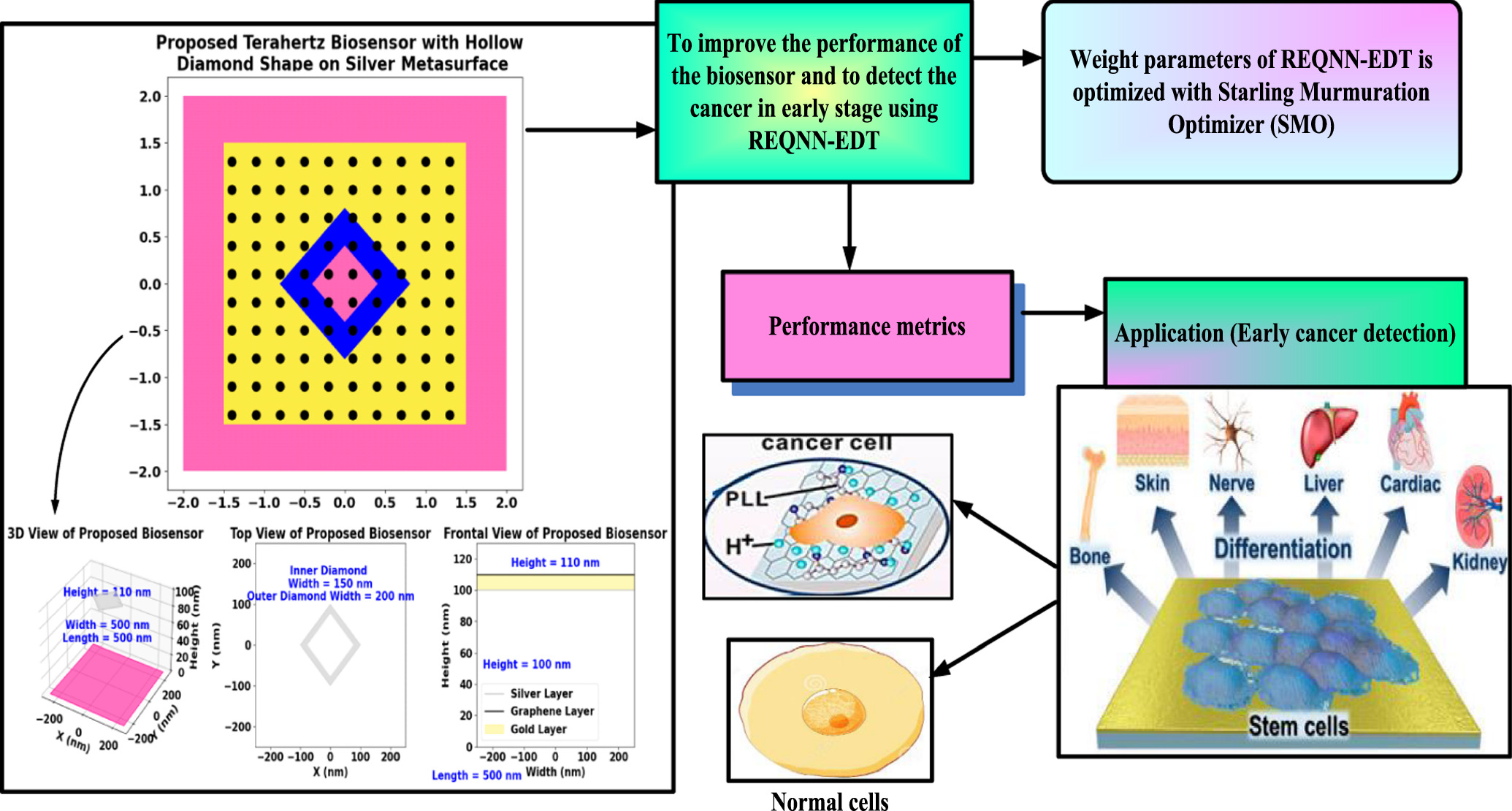 Design and Analysis of a Highly Sensitive Terahertz Biosensor for Early ...