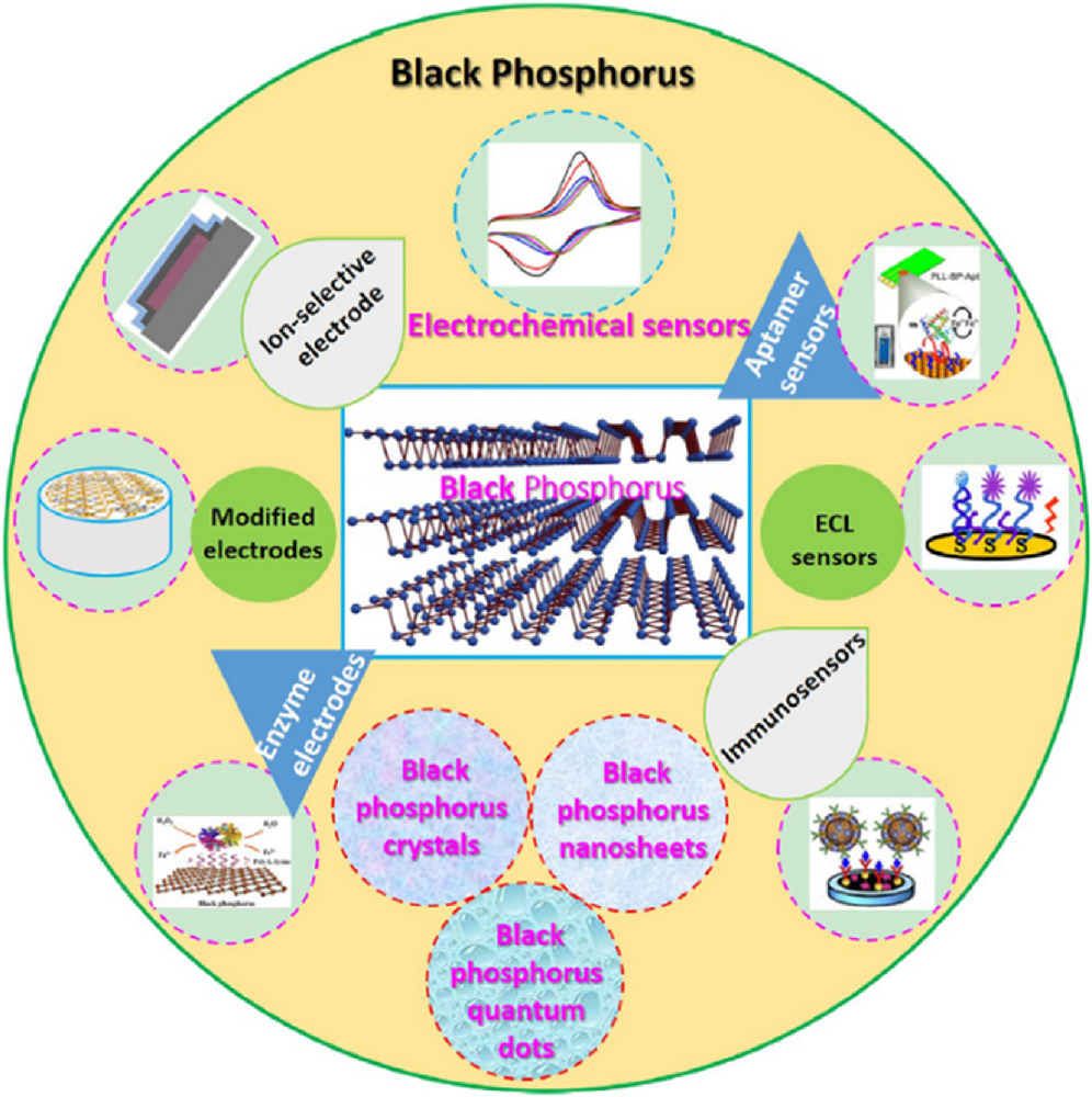 Current Progress in Black Phosphorus Nanomaterials: Exploring ...