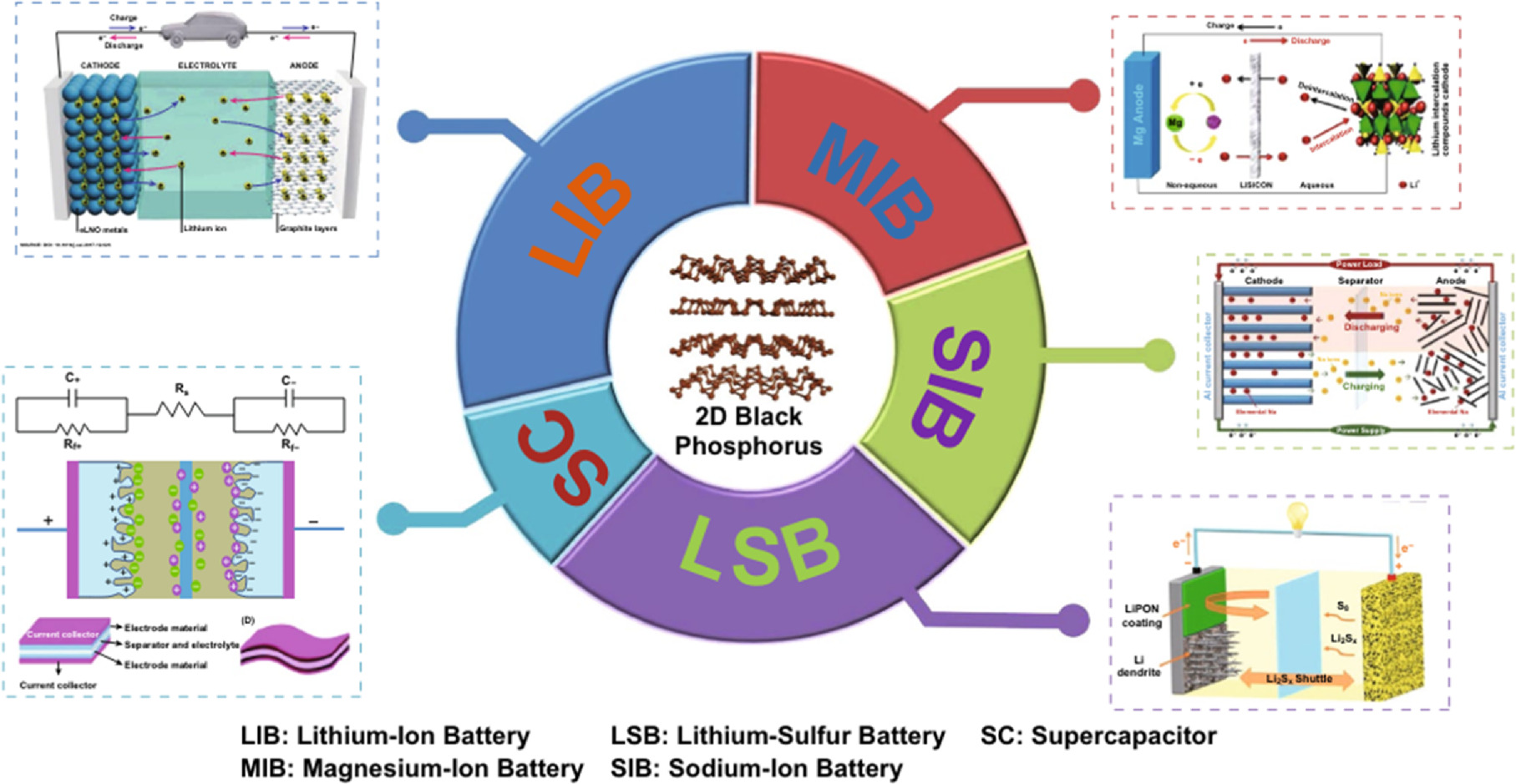 Current Progress in Black Phosphorus Nanomaterials: Exploring ...
