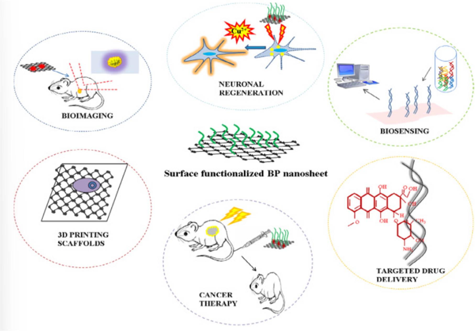 Current Progress in Black Phosphorus Nanomaterials: Exploring ...