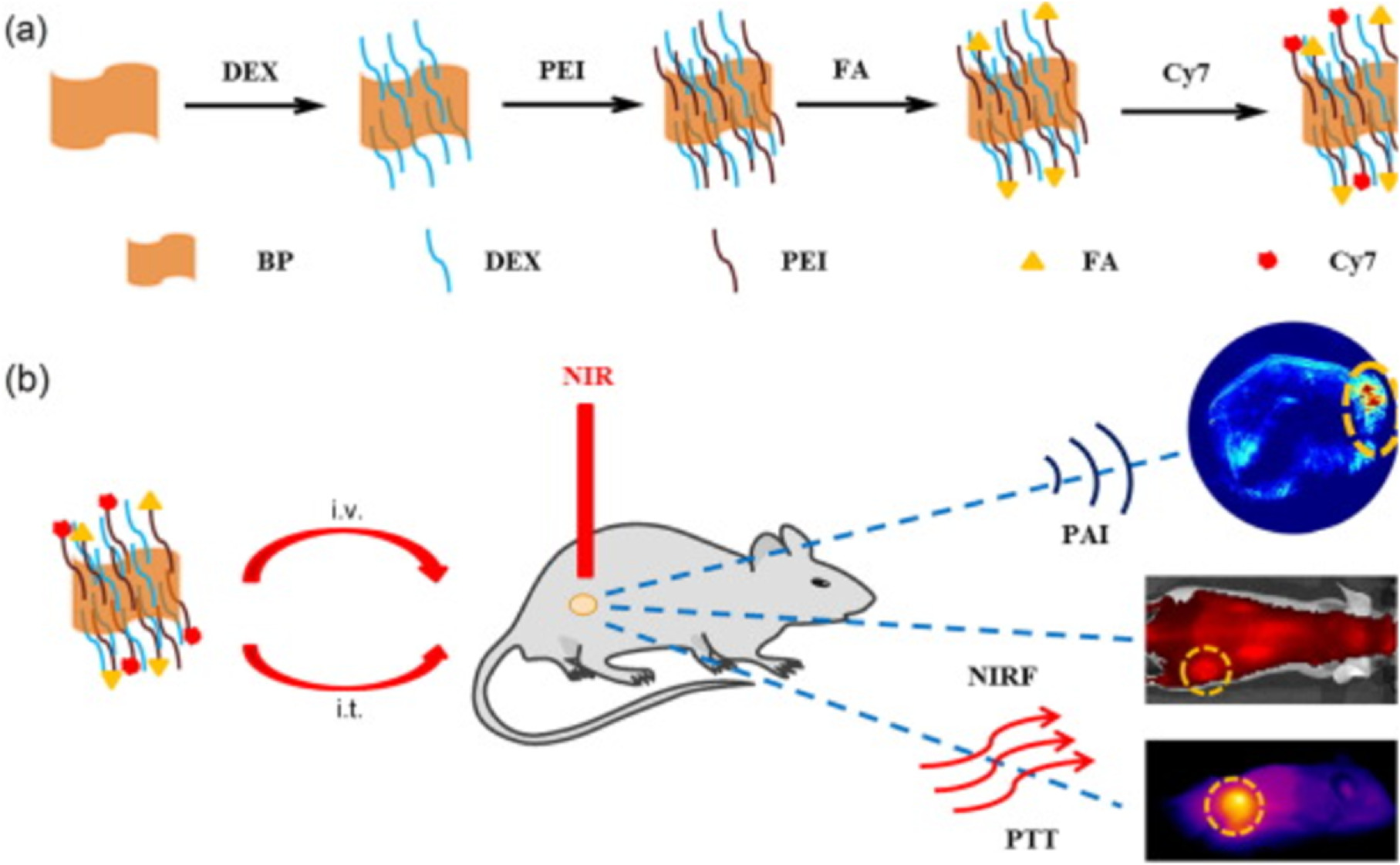 Current Progress in Black Phosphorus Nanomaterials: Exploring ...