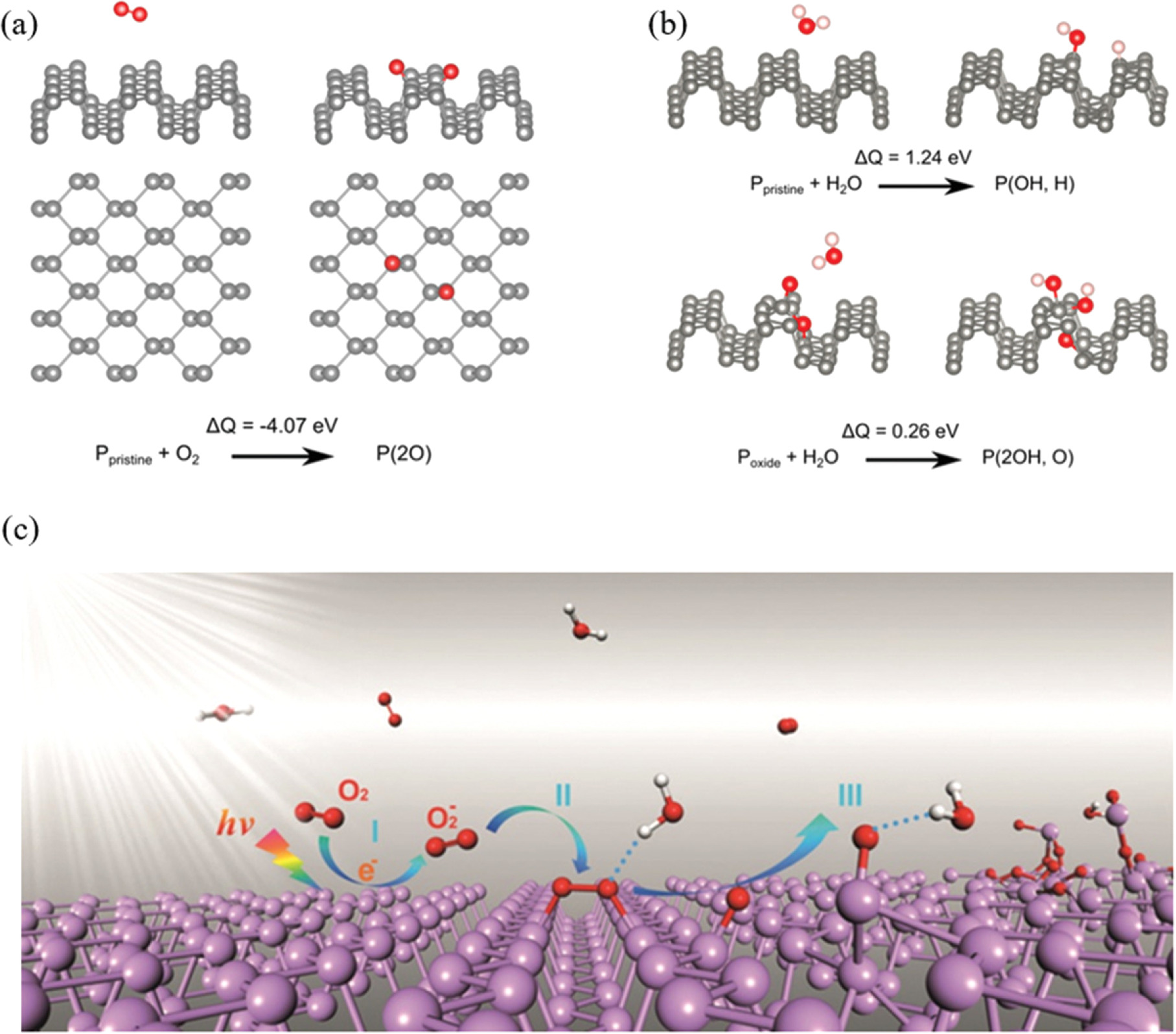 Current Progress in Black Phosphorus Nanomaterials: Exploring ...