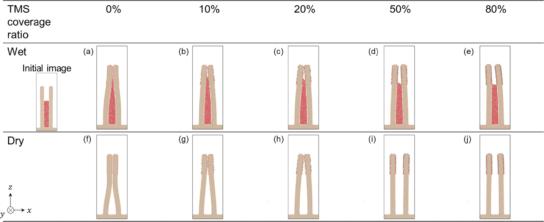 Adhesion and Elastic Energy Analysis of Pattern Collapse in Surface ...