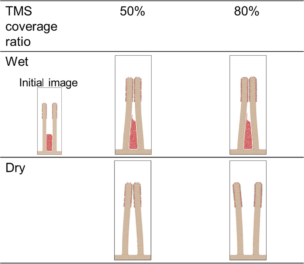 Adhesion and Elastic Energy Analysis of Pattern Collapse in Surface ...