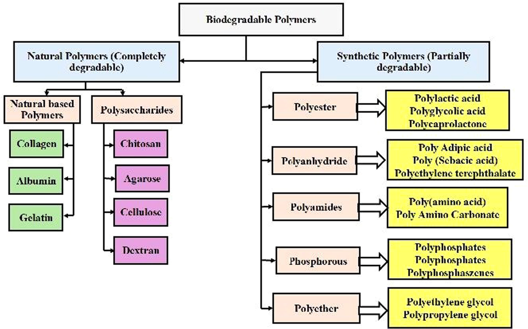 A Green Approach to Sustainability: Biodegradable Polymers in ...